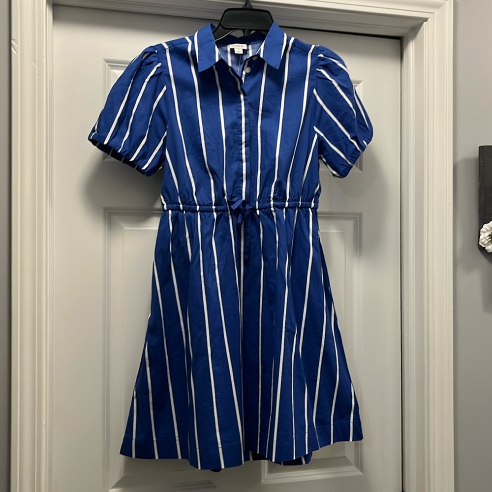 NWT JCrew Women’s Dress